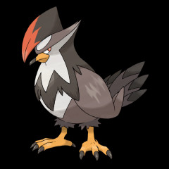 【ポケチャン】メガムクホークと見せかけてスカーフ命がけと見せかけて捨て身で殴ると見せかけて普通にタスキで追い風するみたいなのあるらしくて俺はもう分からない