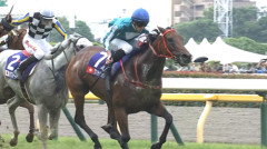 ロマンチックウォリアー引退