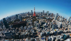 大阪生まれ大阪育ちの生粋の大阪人が「自分、東京弁が大嫌いなんです。聞くだけでイラっとするし、『何チャラついてんだ』とｻﾂ意が湧くんです」私（東京の中心でそんなこと言われても…….）　→　次の瞬間、東京男子が「警察に通報する！」大阪人「ッダルァァ！ジョーイ！」