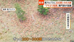増えすぎたシカ、マジでヤバい 「最近の土砂災害はシカの影響」「クマより危険な動物」