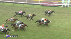 8/30(日) 第62回農林水産省賞典 新潟記念(GⅢ) part2