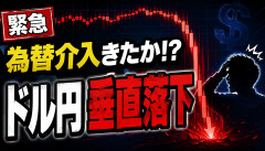 【緊急】為替介入きたか！？ドル円、大暴落wwwwwwwww