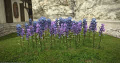 【FF14】ハウジング勢に人気の「ルピナスガーデン」と素材が未だに高額！暇なリテイナーがいたら探索依頼で稼げるかも？