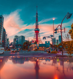 ハズさない東京土産ってなに？