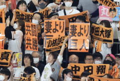 巨人ファン『阪神が負けたから問題なし』