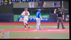 【動画】昨日の渡会の見逃し三振wwwwwwwwwwwwwwwwwwwwwwww