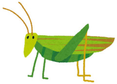 【閲覧注意】ロイヤルホストで巨大バッタ🦗混入か
