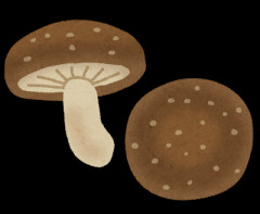しいたけ美味いよな🍄