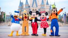 ディズニーランドとかシーをただの遊園地と思ってる奴と行くのって苦痛だよな