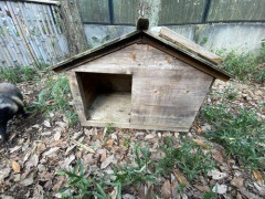 【悲報】タヌキさん、犬小屋でぐっすりした最後にかまれて成仏・・・・・・・・・