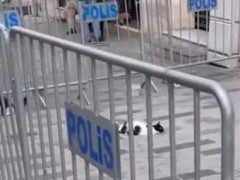 この街で働く警察はとてもハードだ。この姿を見てくれよ → 日中はこんな様子です…
