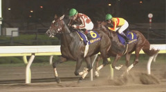 南関三冠馬ミックファイア引退、種牡馬入り