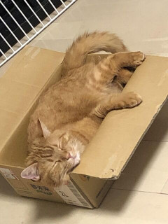 同僚がすごい握り箸。同僚「箸の持ち方がおかしいのってそんなにダメ？お願いだから本音を言って」自分「みっともないし、躾をしない親に育てられたんだなって思う」→すると同僚は