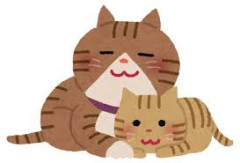 寄り添って眠る…《子猫とひよこ》の姿に視聴者もん絶「今まで見た中で一番かわいい」「ふわふわに癒やされる」