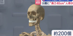 【悲報】日本の治安、ここまでヤバくなる・・・・・
