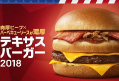 【画像】マックの史上最高傑作バーガー、流石に満場一致