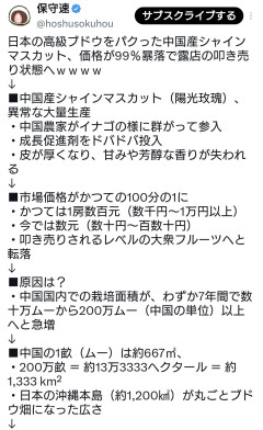 日本の高級ブドウをパクった中国産シャインマスカット、価格が99％暴落で露店の叩き売り状態へ・・・