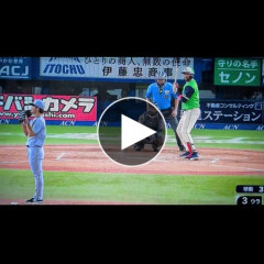 【動画】阪神タイガース坂本さん、ヤクルトオスナ復帰で警戒してたら違う外国人に殴られてしまうｗｗｗｗｗｗｗｗｗｗ