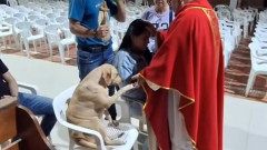 司祭に救われた犬が祈りの儀式に自ら参加。前脚を差し出し一緒に祈る