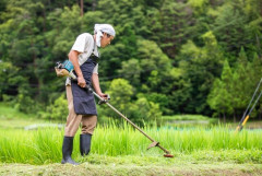 従業員「おーい」 草刈り中の従業員「（振り向く」 → 草刈り機の刃が66歳男性従業員に接触し、出血し低酸素脳症になり死亡