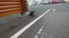 スーパーから母に「娘（私）さんが万引きした」という連絡があって、行ってみたらそこには昔私をいじめていたＡとその娘。Ａ「お願い！（私）ちゃんと仲良くしてあげるから」