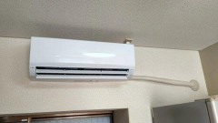 【悲報】今年の夏、ガチで涼しかった