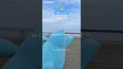 日向坂46 ポカたびin宮崎withマネージャー② 9月5日,6日『ひなたフェス 2026』開催 ！ひなたサンマリンスタジアム宮崎