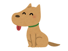 小型犬をお迎えしたい！