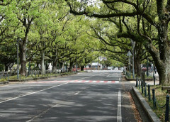 【悲報】道路交通法の改悪ヤバすぎる