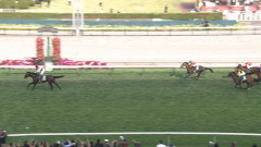 【競馬】フライトライン産駒『ショウナンガレオン』が札幌2歳Sを圧勝！
