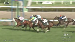【競馬】京成杯AHは三浦騎乗のピコローズがV　武豊騎乗のエコロブルーム2着