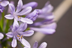 嫁が「あなたは家事がどれだけ大変か分かってない」と具体的にリストを細かく書いて俺に提出してきた。俺「じゃあ明日全部やってみるわ」→結果