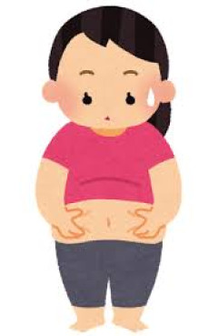 太ってはいないけどお腹が出てる、これって何？