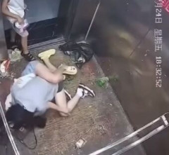 【動画】中華まんさん、野菜まみれで喧嘩してしまうｗｗｗｗｗｗｗｗ