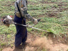 【画像】草刈りをしていた男二人👴👴、仲良し過ぎて片方死亡