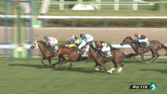 【京成杯AH】ピコローズ＆三浦騎手がｷﾀ━━━━(ﾟ∀ﾟ)━━━━!!