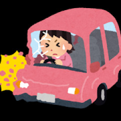 彼女の運転が荒すぎてこわいんやが