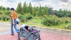 【悲報】ワイ独身、子連れ家族を見ると「うわ、大変そう…」と思ってしまう