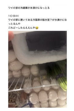 【画像】冷蔵庫の中が実際こうなったらどうやって直すのが正解なの？
