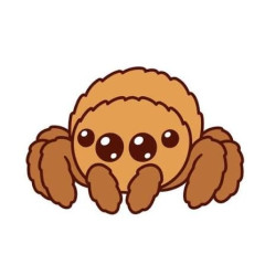 ハエトリグモを愛でるトピ