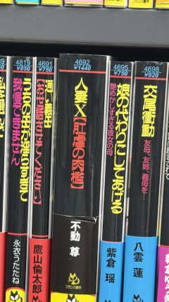 【画像】官能小説のタイトルの語彙力、レベチｗｗｗｗｗｗｗｗｗ