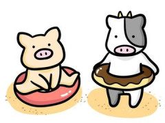 【朗報】湘南の水着ギャル、激アツだったｗｗｗｗｗ