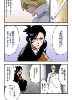 【BLEACH】副隊長は基本的にやられ役