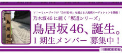 【櫻坂46】あの乃木坂46メンバー『鳥居坂46』オーディションについて言及