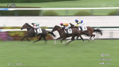 【競馬】有馬記念ワンツーの仔がデビュー戦勝利！