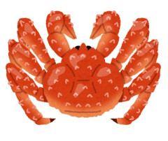 【安くなる？】タラバガニ捕れて、捕れて 根室で異例の豊漁　全道の年間水揚げ超え