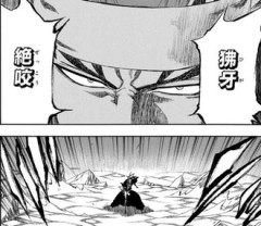 BLEACH読者月牙天衝以外の作中で出てくる必殺技覚えてない