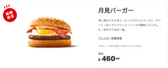 【悲報】マックの月見バーガー、たいして美味くない