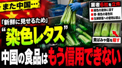 【今度はお化粧レタス】中国、野菜を緑色に着色して「新鮮」に見せた業者6社を立件「13カ所野菜倉庫の半数以上で同様の作業を確認」