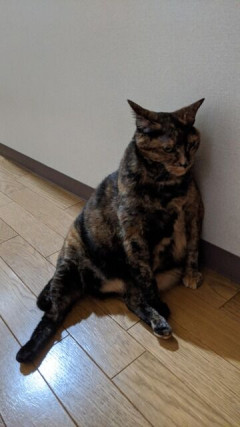友達「胸が大きいとブラの種類ないの！大きい胸って大変！小さいサイズの方があるじゃん！！」私「アンダー６０もブラないよ」友達「はぁ！自慢話？それともひんぬーの嫉妬！！」